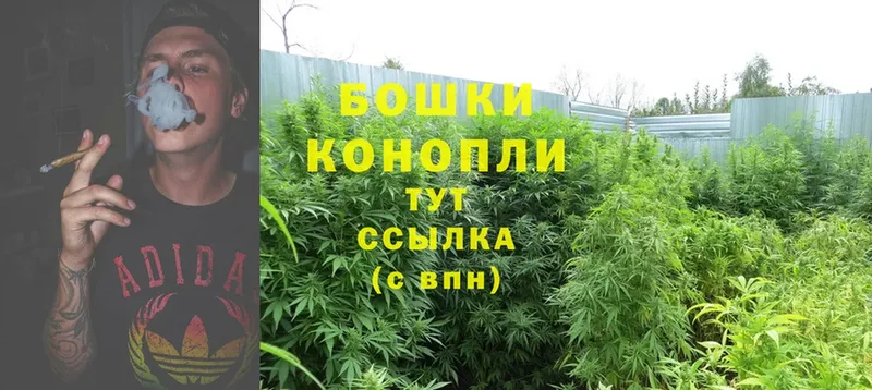 Каннабис SATIVA & INDICA  MEGA tor  Пушкино 